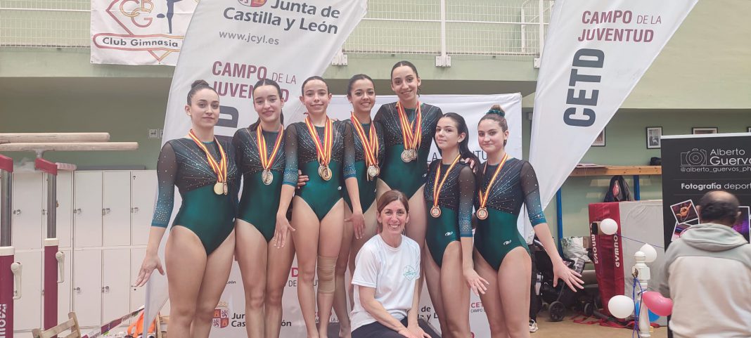 Varias de las representantes del Gimnasia Aranda con las medallas logradas en Palencia. / Gimnasia Aranda