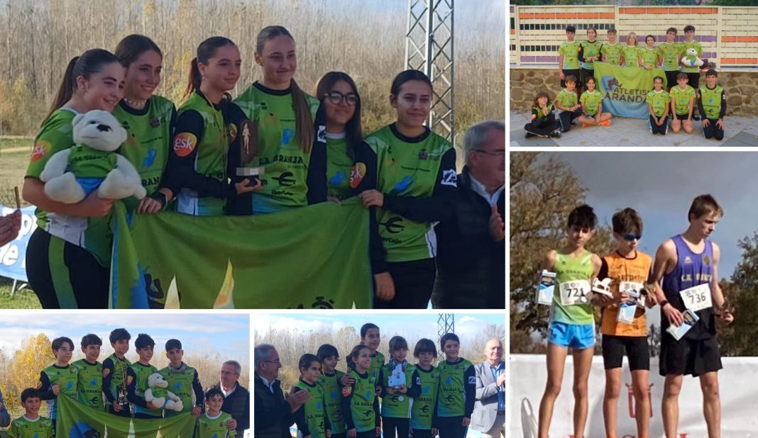 Los protagonistas del Campeonato Provincial con sus medallas junto a los corredores de la Espada Toledana -arriba derecha- e Iker Ortuño, Plata en el Cross Internacional de Soria -abajo derecha-. / Atletismo Aranda