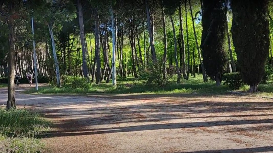 El parque General Gutiérrez es uno de los pulmones verdes de la capital de las tierras del Duero. / duerodeporte.com