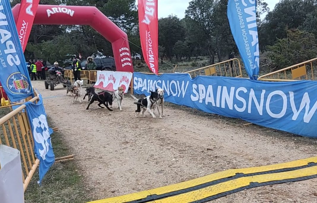 La Calabaza albergará el Campeonato de Castilla y León de Mushing en el marco del III Memorial Juan Carlos Quintana. / duerodeporte.com